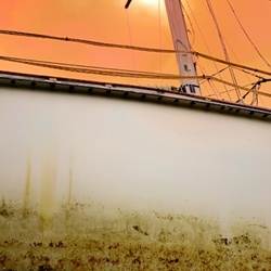 dailyPhoto5