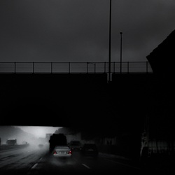 dailyPhoto7