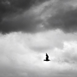 dailyPhoto14