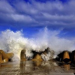 dailyPhoto35
