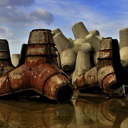 dailyPhoto25