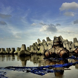 dailyPhoto12