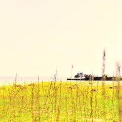 dailyPhoto19