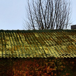 dailyPhoto24