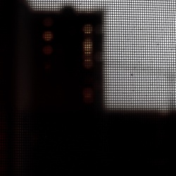 dailyPhoto31