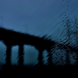 dailyPhoto37
