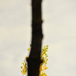 dailyPhoto35