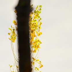 dailyPhoto10
