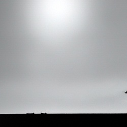 dailyPhoto12