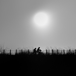 dailyPhoto20
