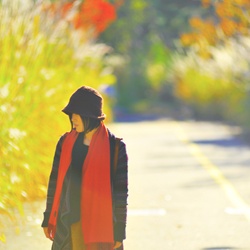 dailyPhoto1