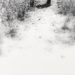 dailyPhoto25