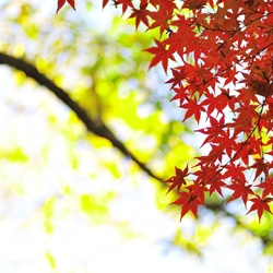 dailyPhoto6