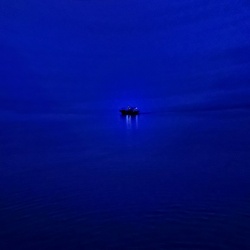 dailyPhoto20