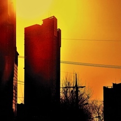 dailyPhoto27