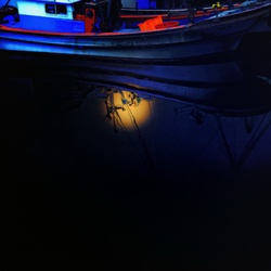 dailyPhoto5