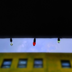 dailyPhoto7