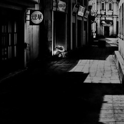 dailyPhoto40