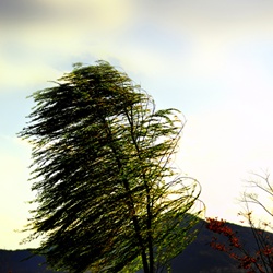 dailyPhoto2