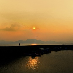 dailyPhoto2