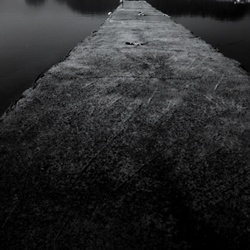 dailyPhoto35