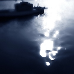 dailyPhoto11