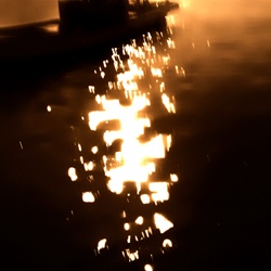 dailyPhoto1