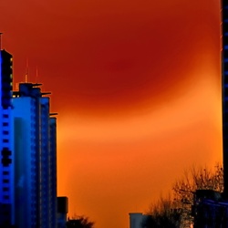 dailyPhoto11