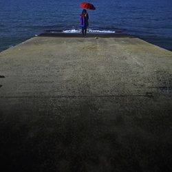 dailyPhoto40