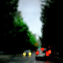 dailyPhoto35