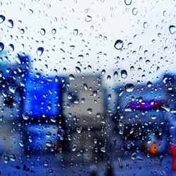 dailyPhoto17