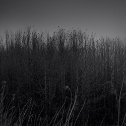 dailyPhoto26