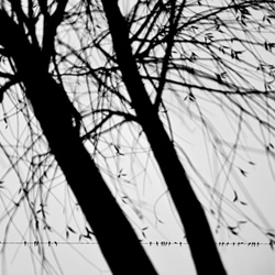dailyPhoto21