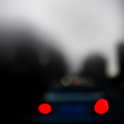 dailyPhoto6