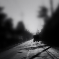 dailyPhoto18