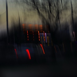 dailyPhoto7