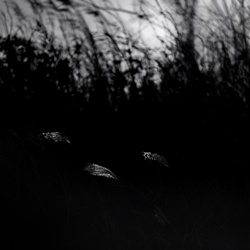 dailyPhoto20