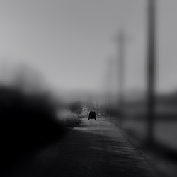 dailyPhoto9