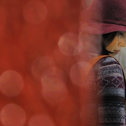 dailyPhoto7