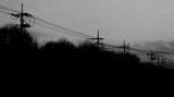 dailyPhoto26