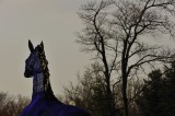 dailyPhoto36