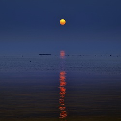 dailyPhoto40