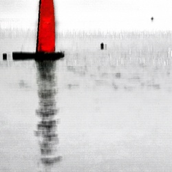 dailyPhoto37