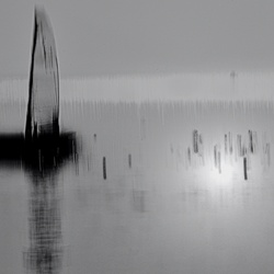 dailyPhoto32