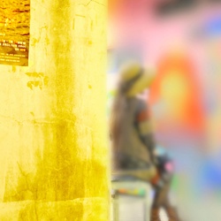 dailyPhoto17