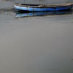 dailyPhoto13