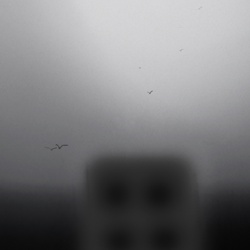 dailyPhoto26