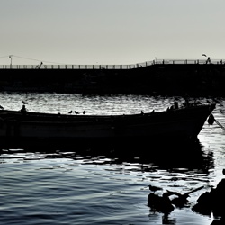 dailyPhoto14