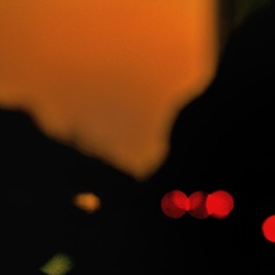 dailyPhoto12