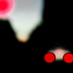 dailyPhoto26